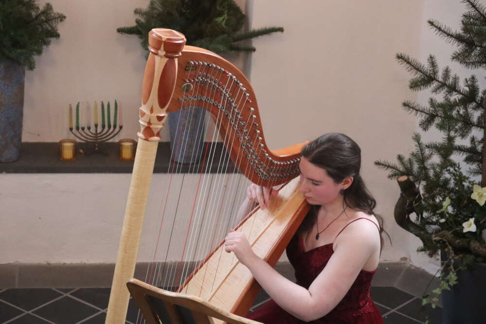 Jana Maldaner - Harfenistin  Eindruck 3